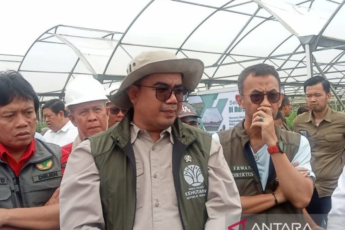 Jambi expected to be model for forest, land fire anticipation: govt
