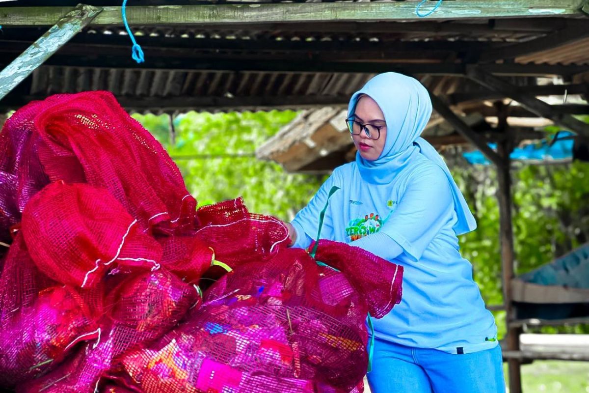 PLN galang aksi bersih pantai di Lombok Barat