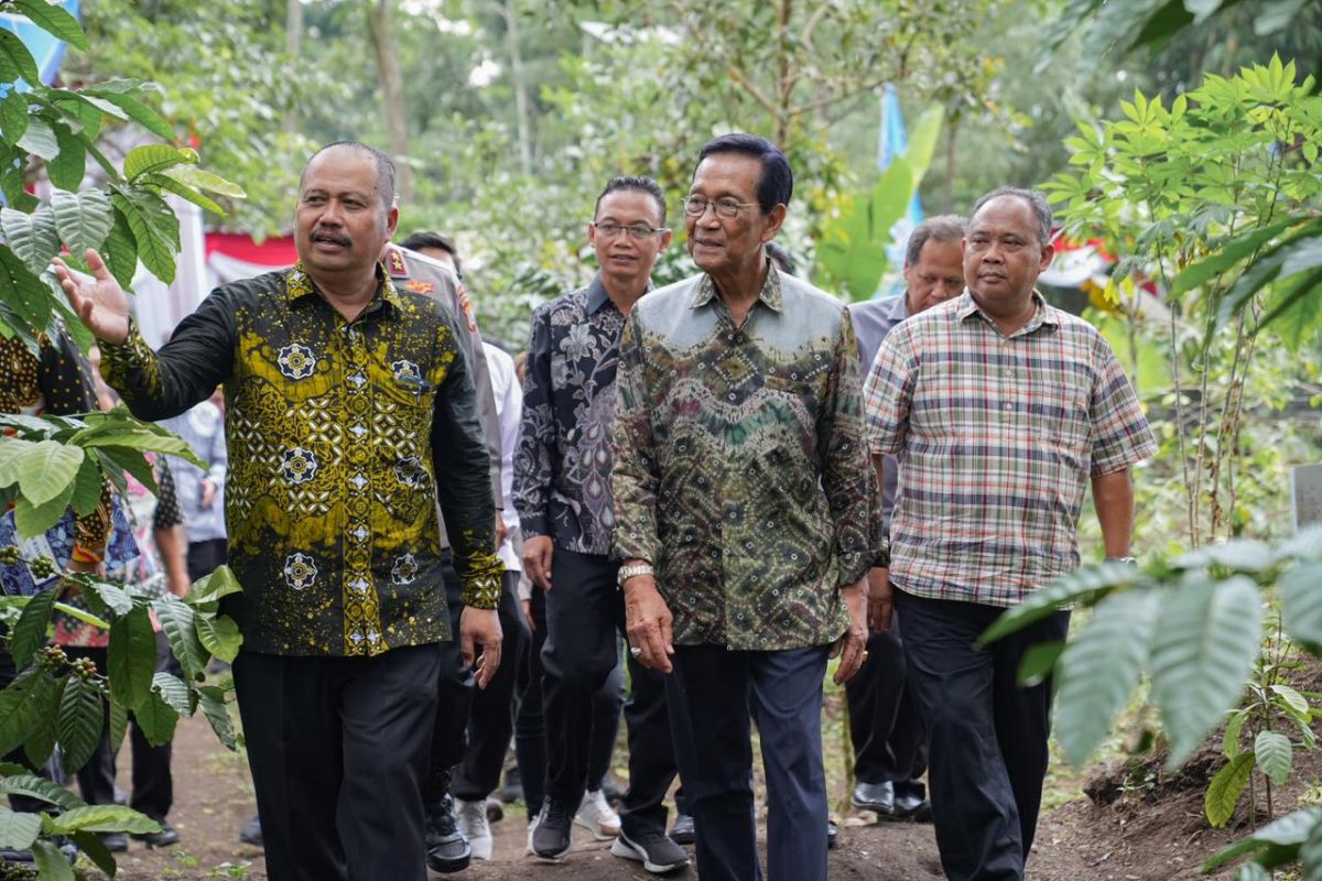 Kementerian Pertanian dukung pengembangan kopi Merapi