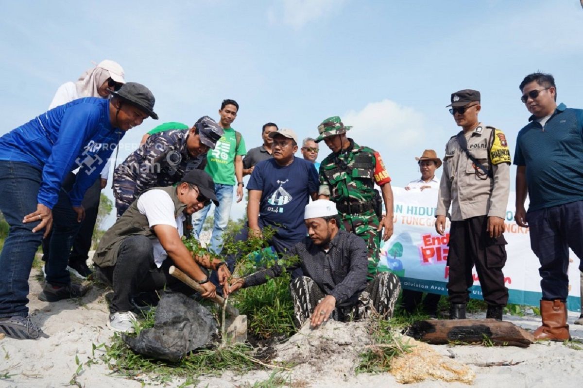 PT Timah tanam ratusan pohon peneduh di objek wisata Batu Tunggal