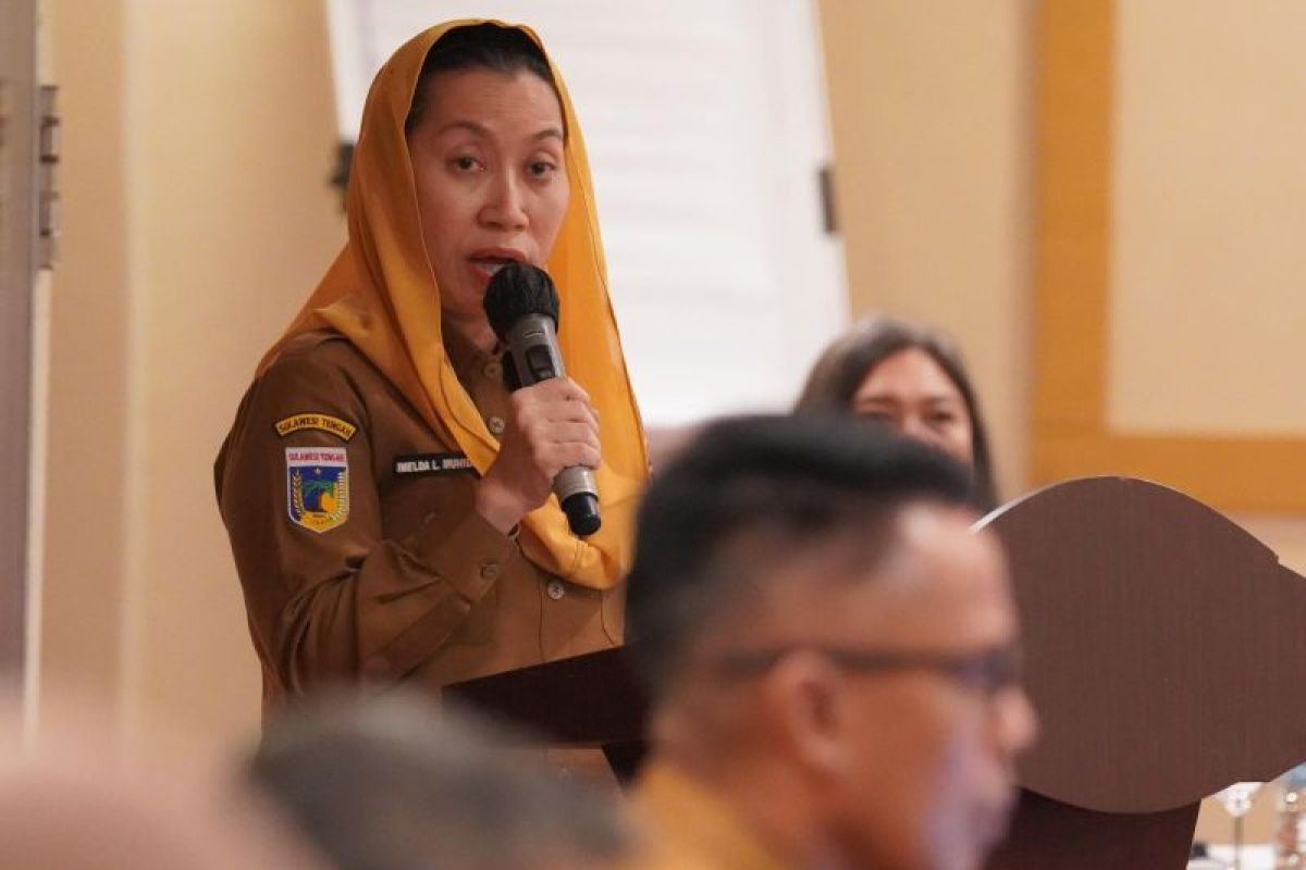 Wakil Wako Palu ungkap kondisi jalan nasional di area tambang