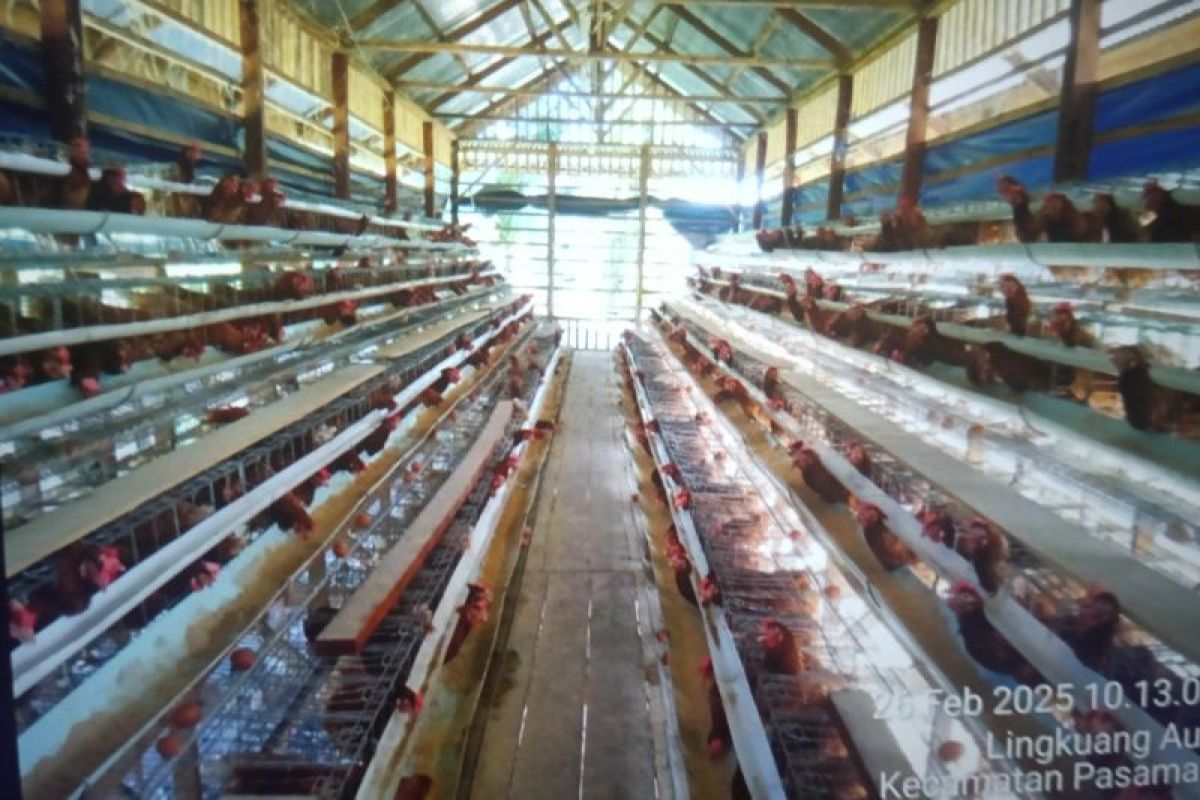 Pemkab Pasaman Barat masukkan 20 persen anggaran ketahanan pangan dari dana desa