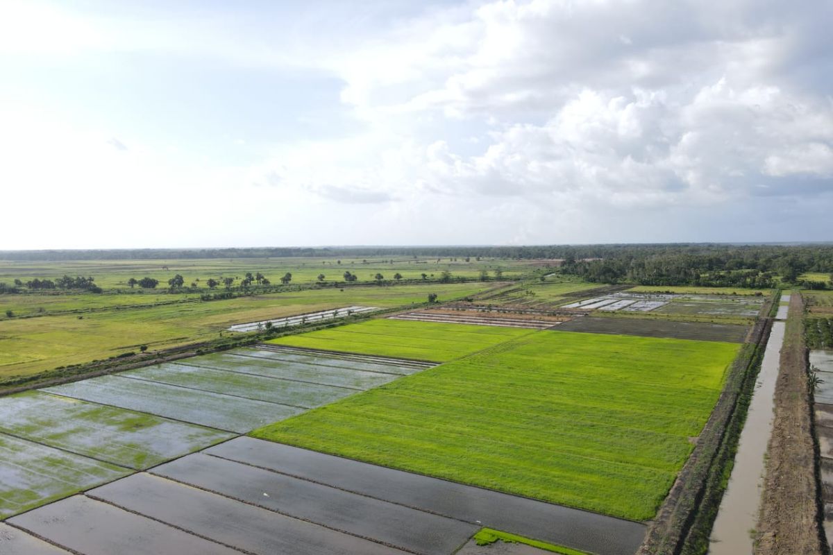 Kemenko IPK: Infrastruktur air prioritas utama dalam PSN