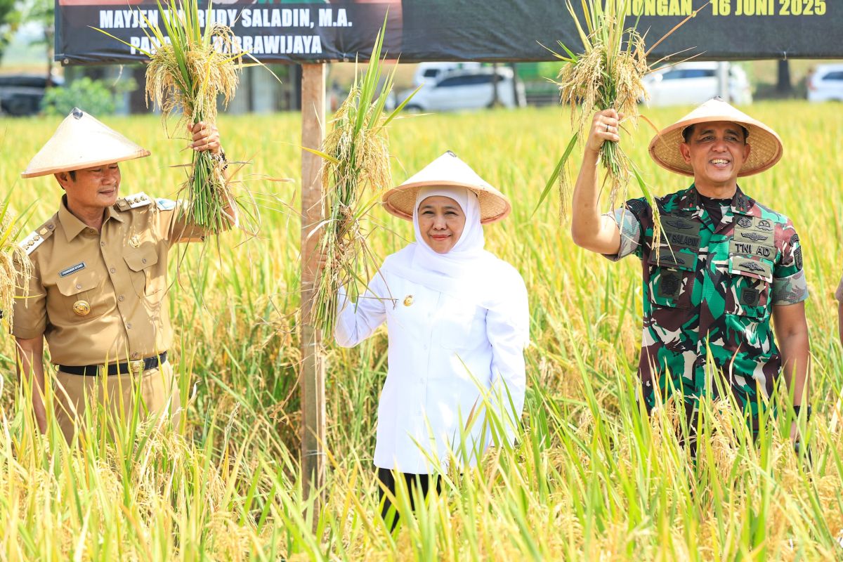 Khofifah sebut pertanian terpadu Lamongan wujud ketahanan pangan