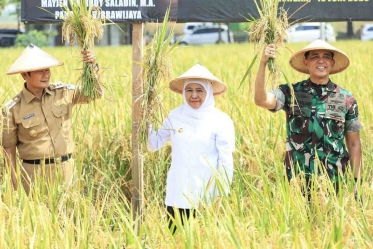 Khofifah sebut pertanian terpadu Lamongan wujud ketahanan pangan