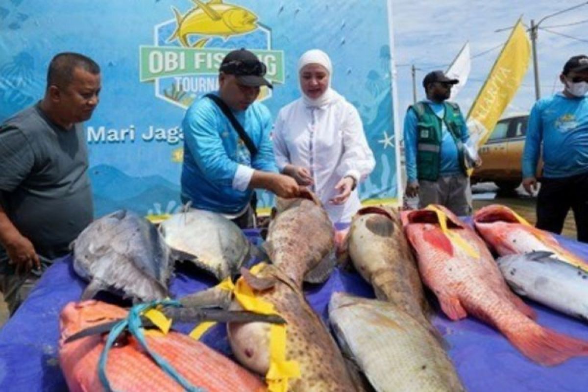 135 peserta ikuti turnamen memancing Obi Fishing 2025
