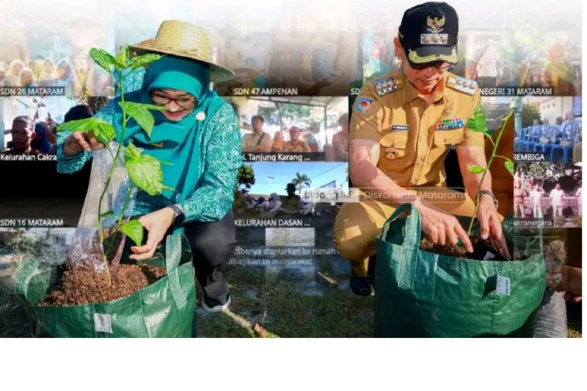 Manfaatkan lahan sempit, Gerakan tanam cabai diluncurkan di Mataram