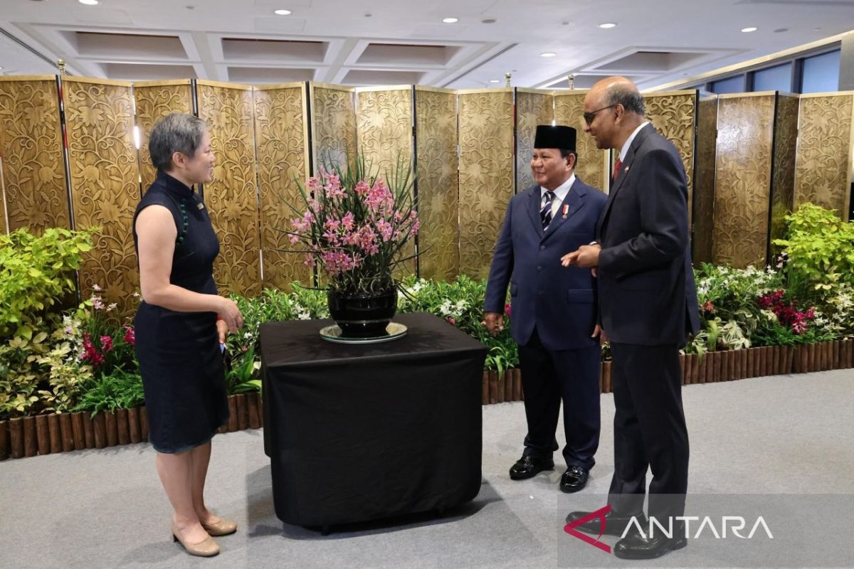 Prabowo namai anggrek diplomatik Singapura "Paraphalante Dora Sigar"