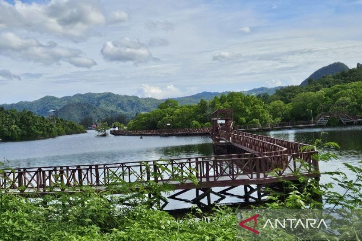 Pemprov: Pengelolaan hutan lestari Papua butuh tiga prinsip utama