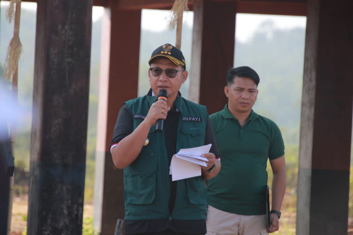 Pemkab Bengkayang targetkan pengembangan 30 ribu Ha jagung