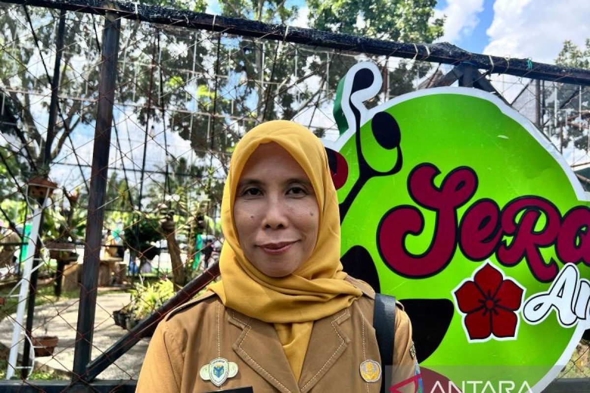Pengumuman hasil seleksi PPPK tahap dua di Batang Hari belum keluar