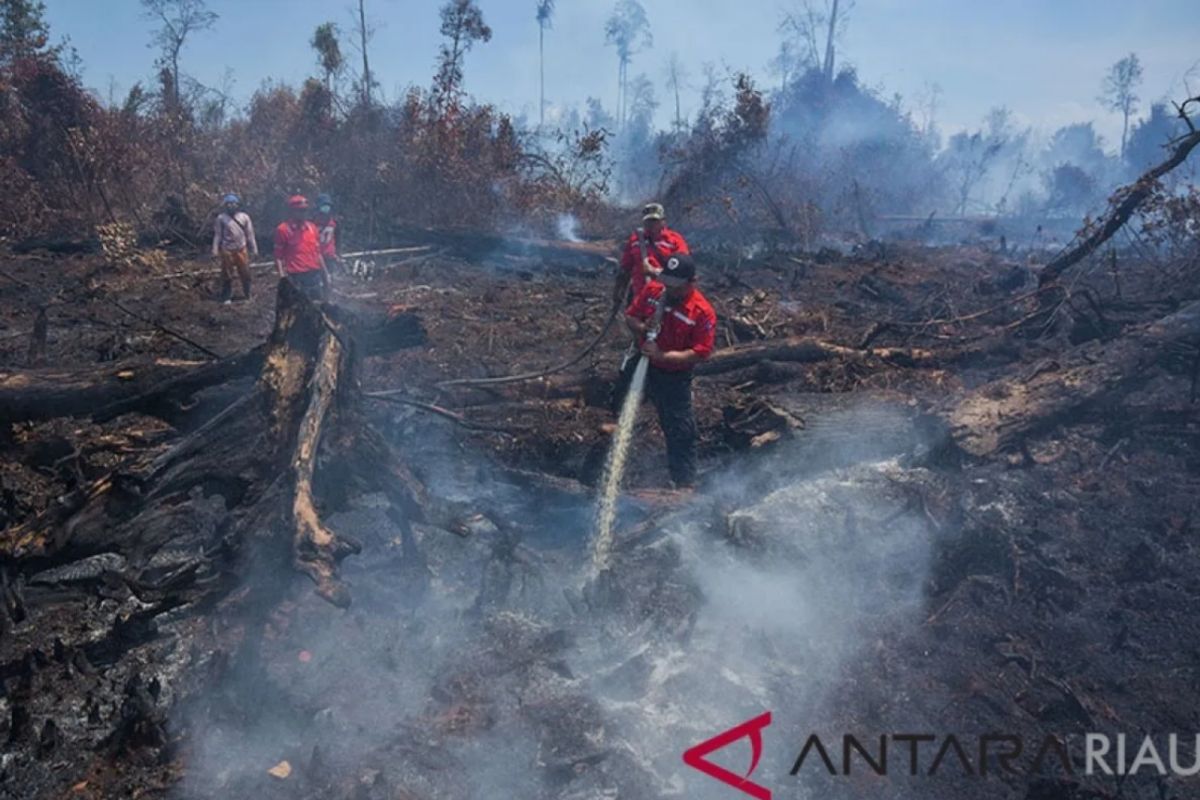 Semua kabupaten/kota di Riau sudah tetapkan status siaga darurat karhutla