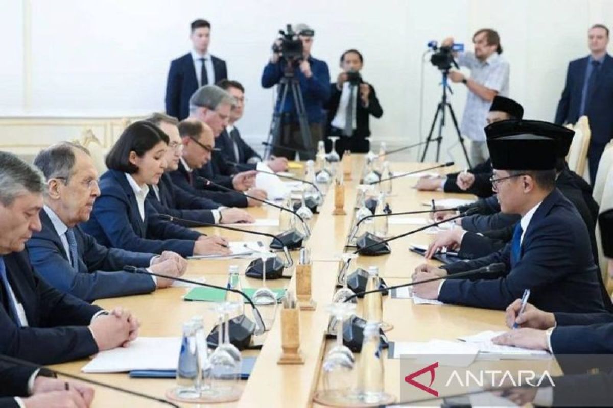 Rusia apresiasi pendekatan RI untuk mengembangkan hubungan bilateral