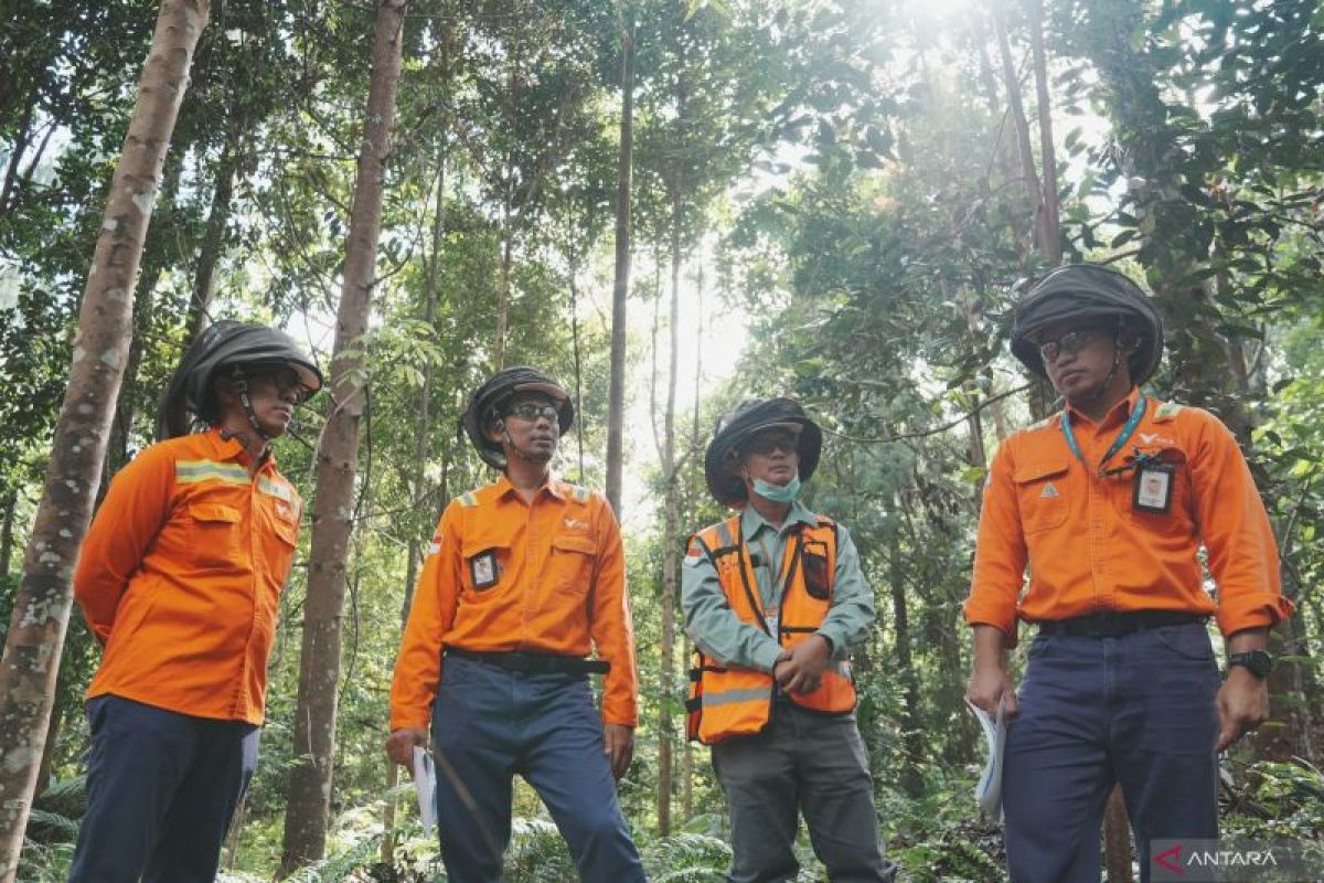 Vale Masuk Daftar Fortune Southeast Asia 500 Tahun 2025