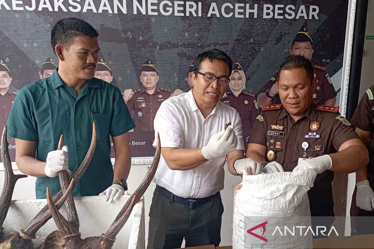 Kejari Aceh Besar terapkan UU terbaru pada tindak pidana konservasi