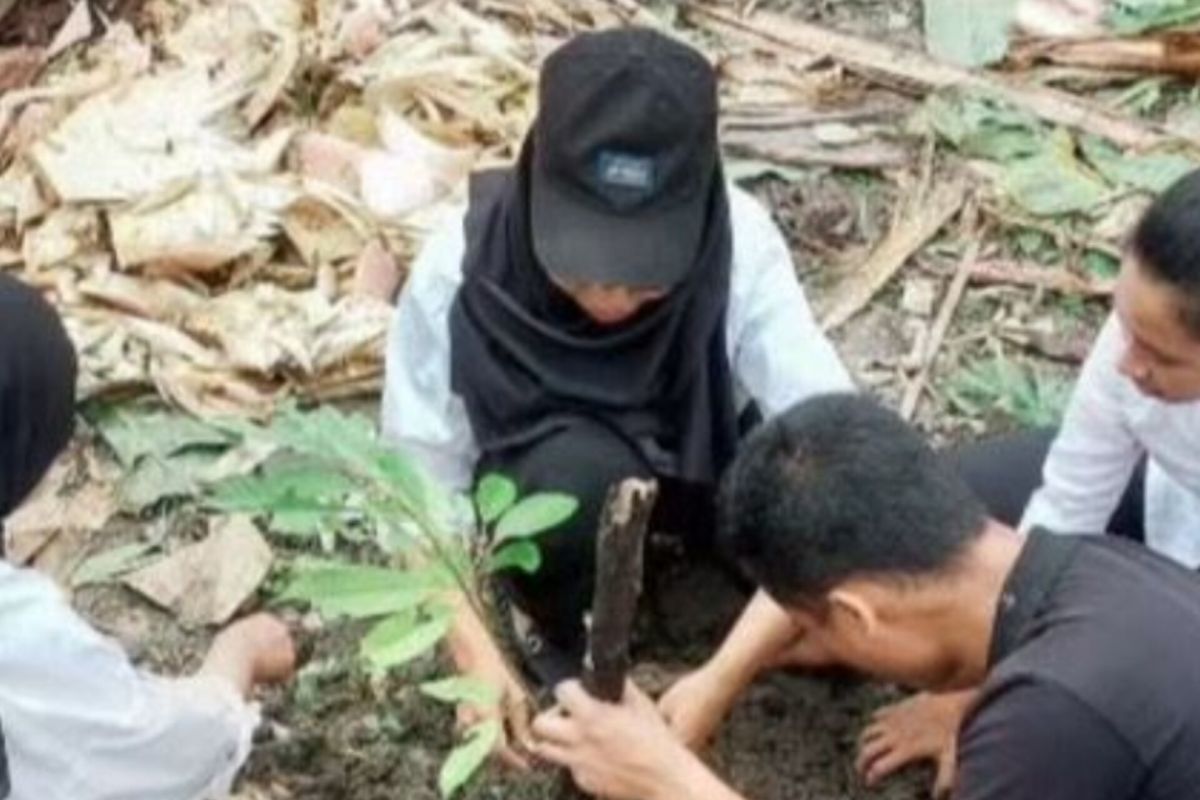 Balai TN Manusela tanam 25 anakan durian dan mangga cegah degradasi lahan