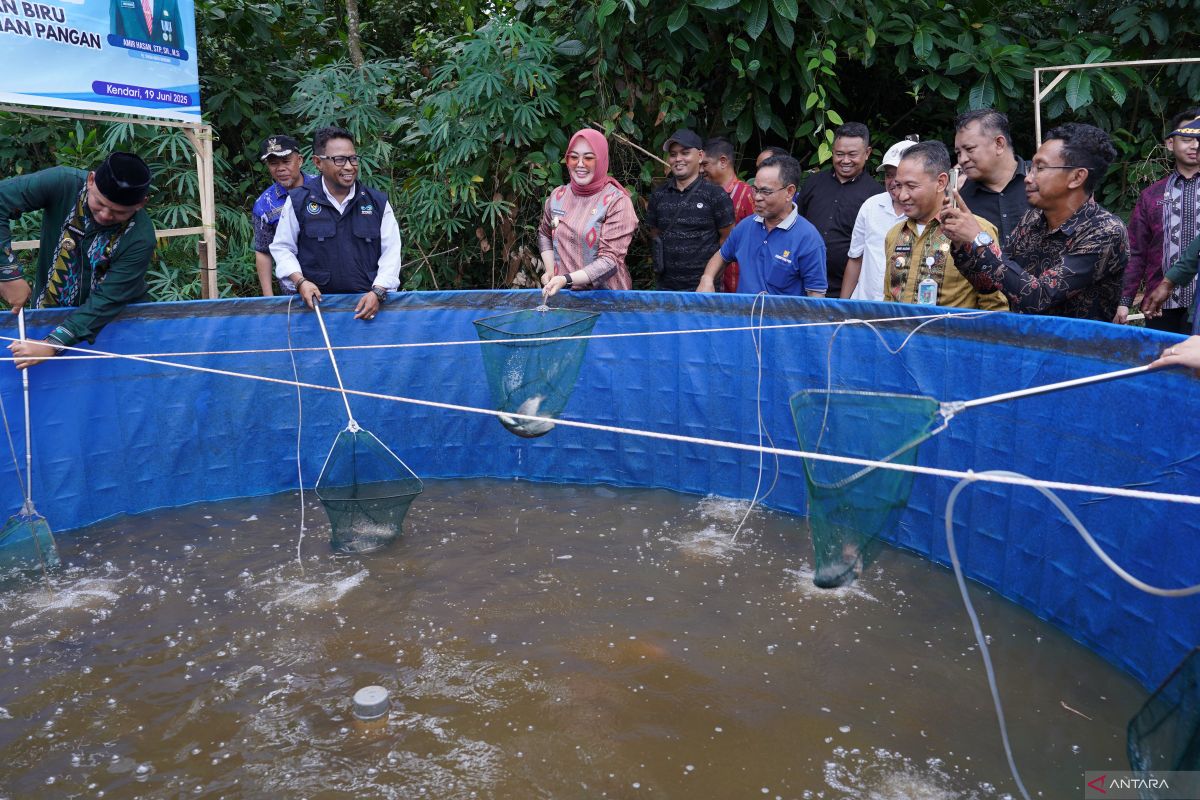 Pemkot panen ikan hasil budidaya sistem bioflok di Kendari