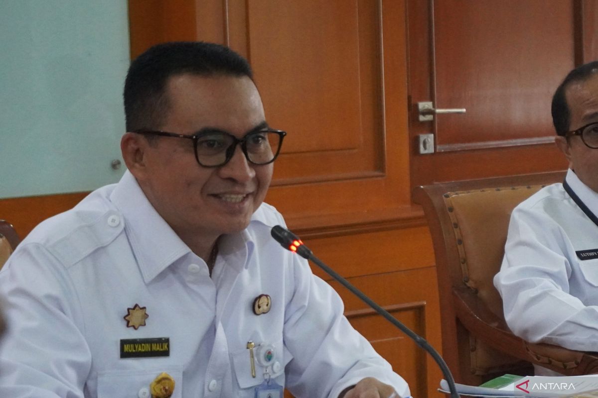 Digitalization key for smart village status: RI Govt
