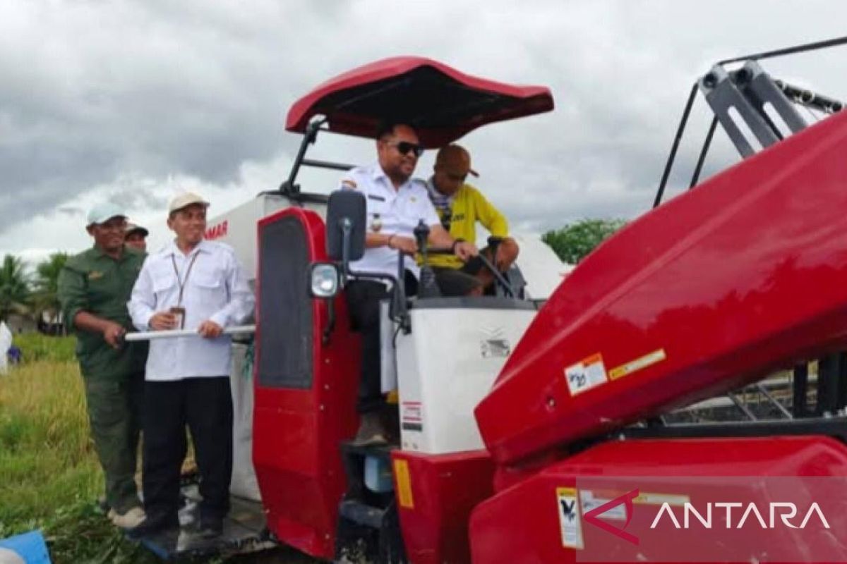Pemkab Malteng maksimalkan potensi lahan seluas 4.020 hektare untuk pertanian