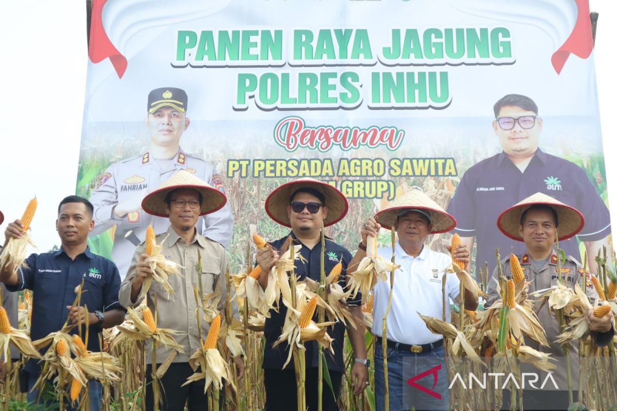 Kompak, Pemda - Polres Inhu panen raya jagung bersama