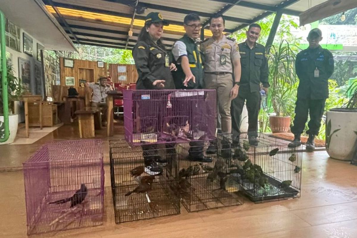 Karantina Banten amankan pengiriman 334 burung tanpa dokumen