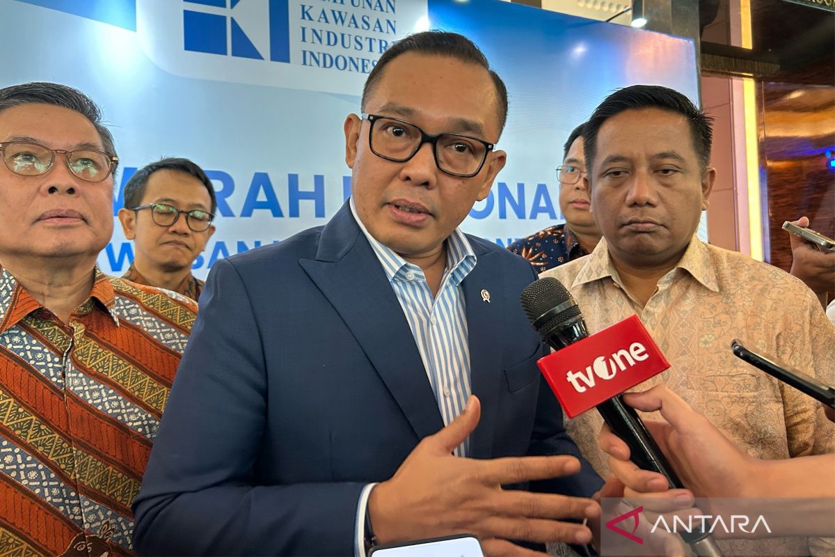 Wamen Investasi minta PLN segera sediakan listrik 3-5 gigawatt di Batam