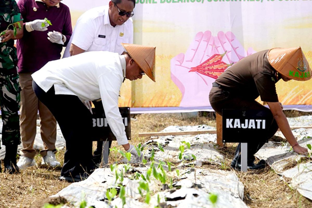 Pemkab Bone Bolango mendukung Program Jaksa Mandiri Pangan