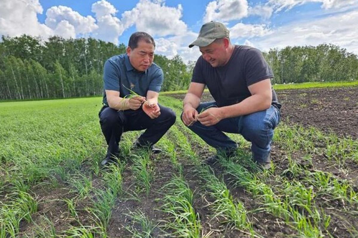 China, Central Asia make continuous efforts to deepen agricultural cooperation