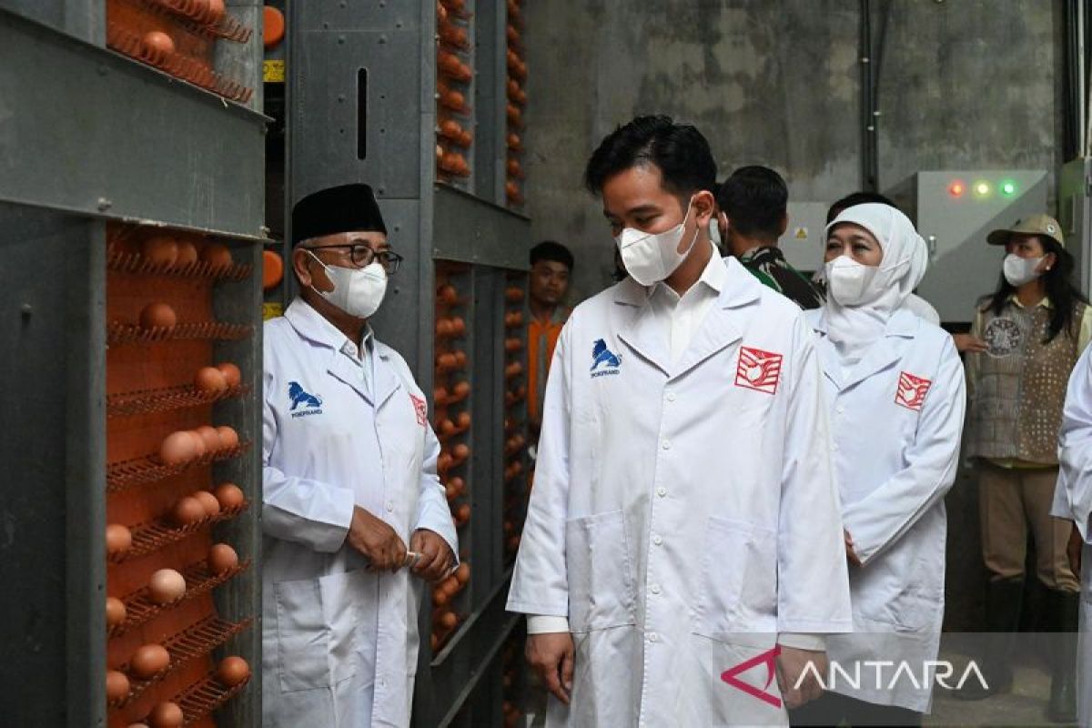 Wapres dorong inovasi dan digitalisasi sentra telur di Blitar