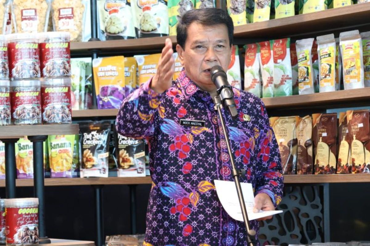 Pemkab Tangerang ajak pemuda terlibat bangun desa