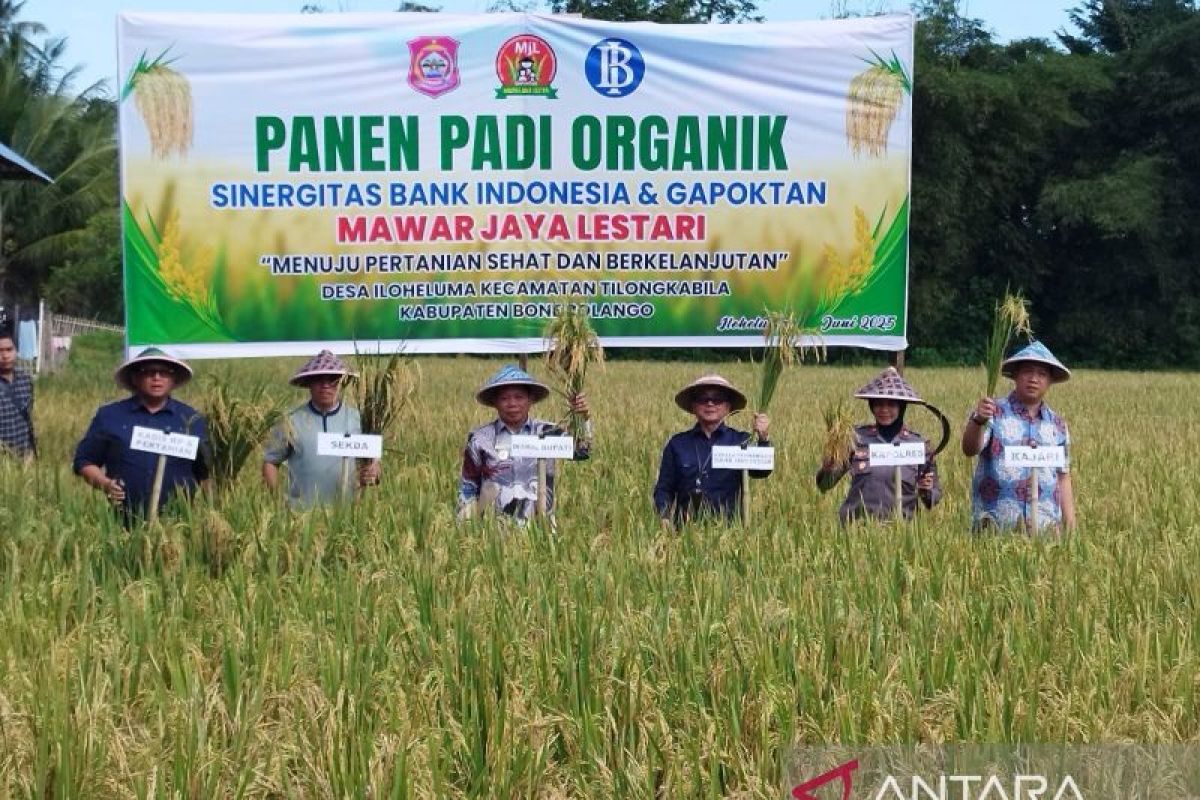 Pemkab Bone Bolango apresiasi sinergi BI dan petani tanam padi organik