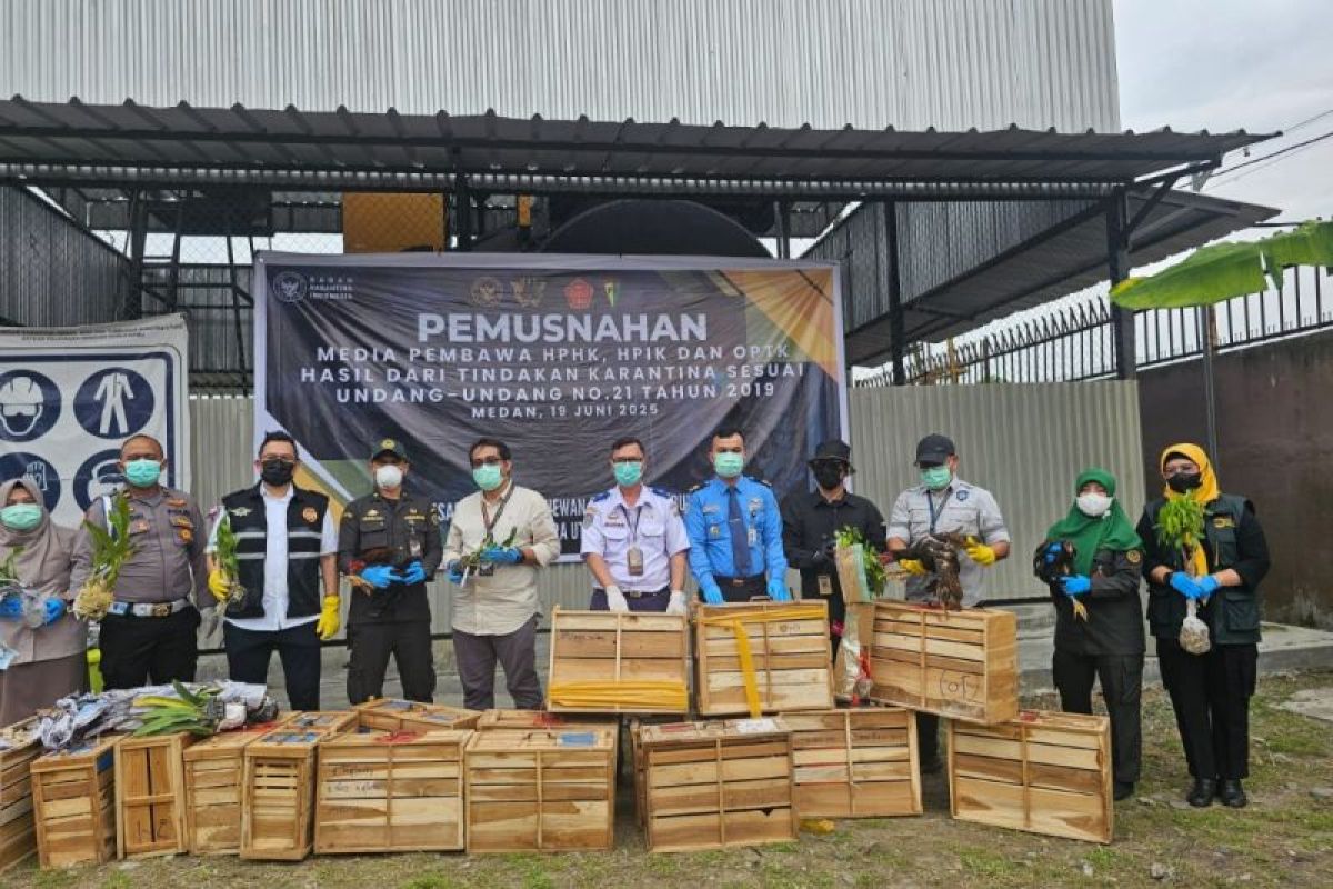 Bea Cukai Medan gagalkan penyeludupan satwa dan tumbuhan asal Thailand