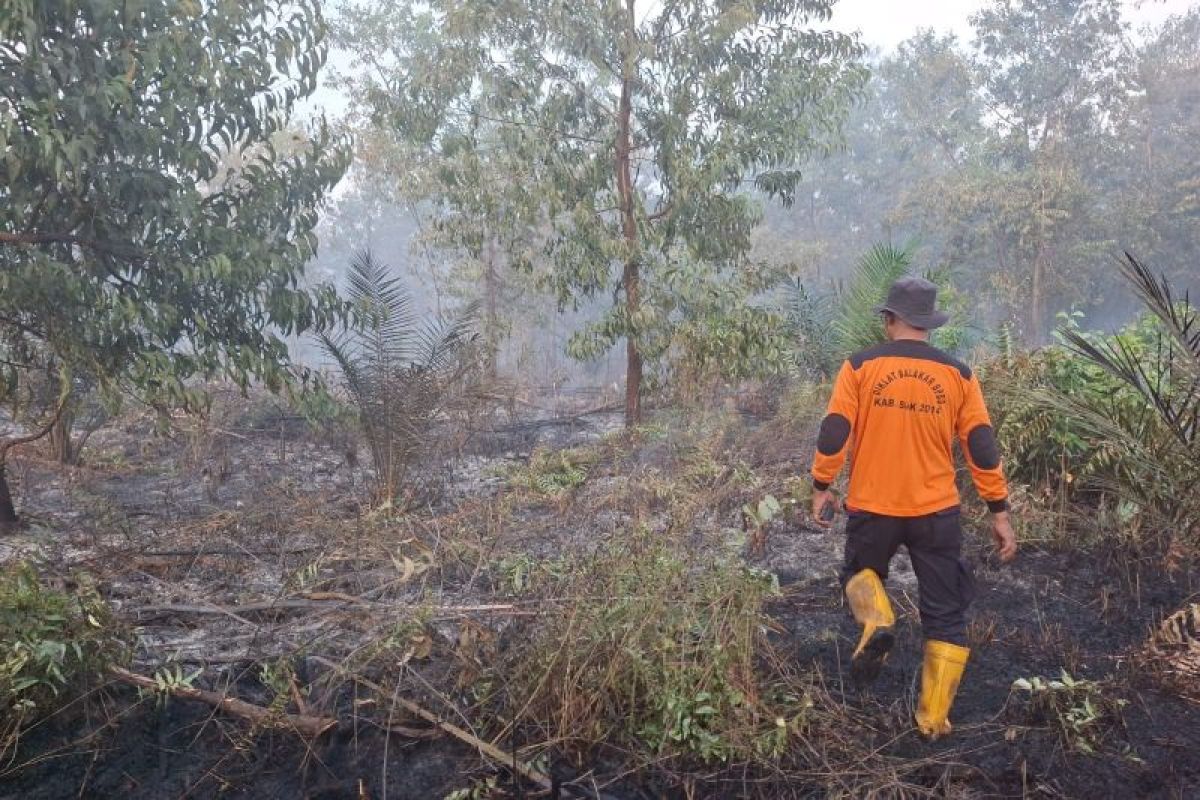 2 hektare lahan ditumbuhi akasia dan sawit terbakar di Sungai Apit Siak
