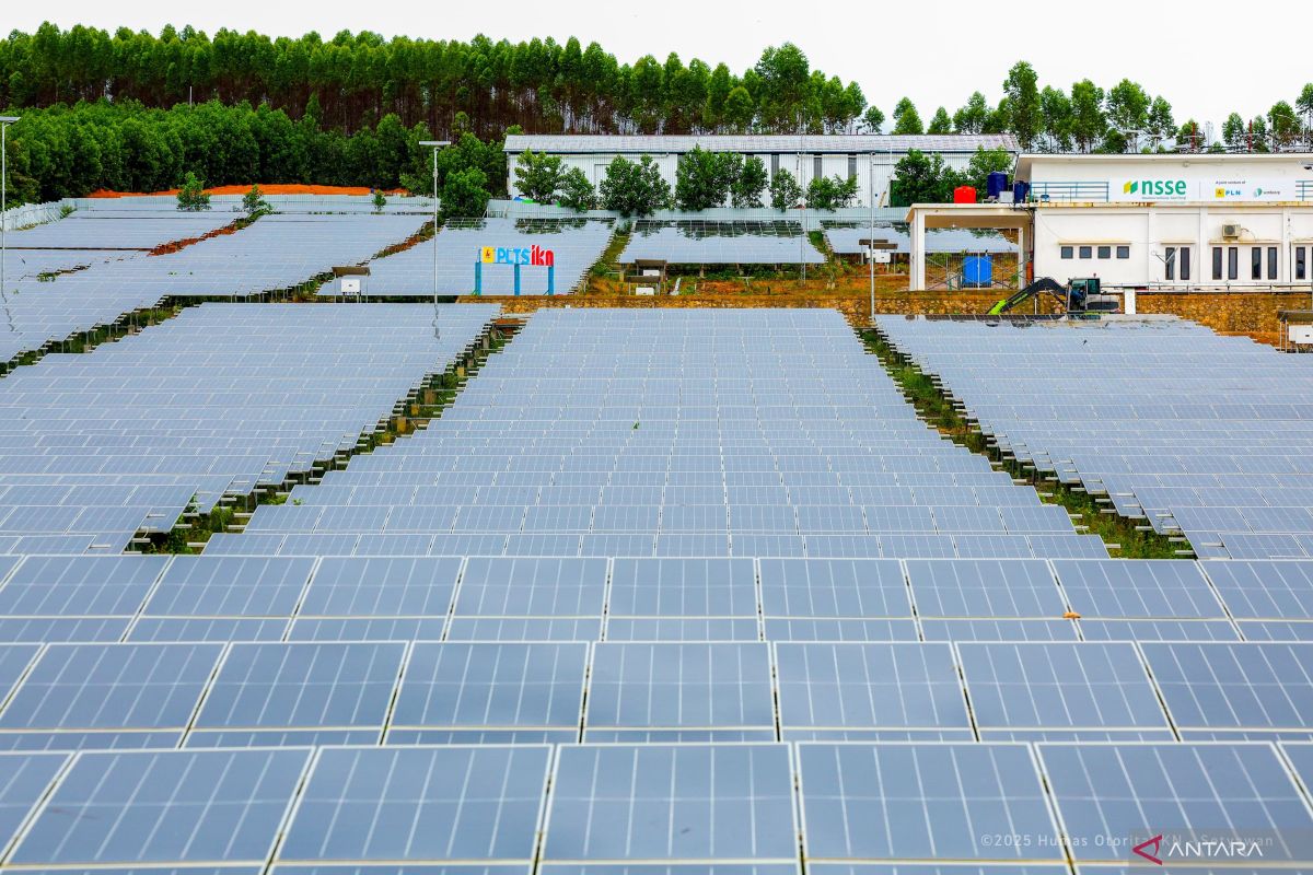 Otorita bersama Singapura  kembangkan energi hijau di IKN