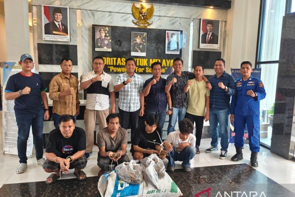 Ditpolairud Jambi  gagalkan penyelundupan sisik trenggiling