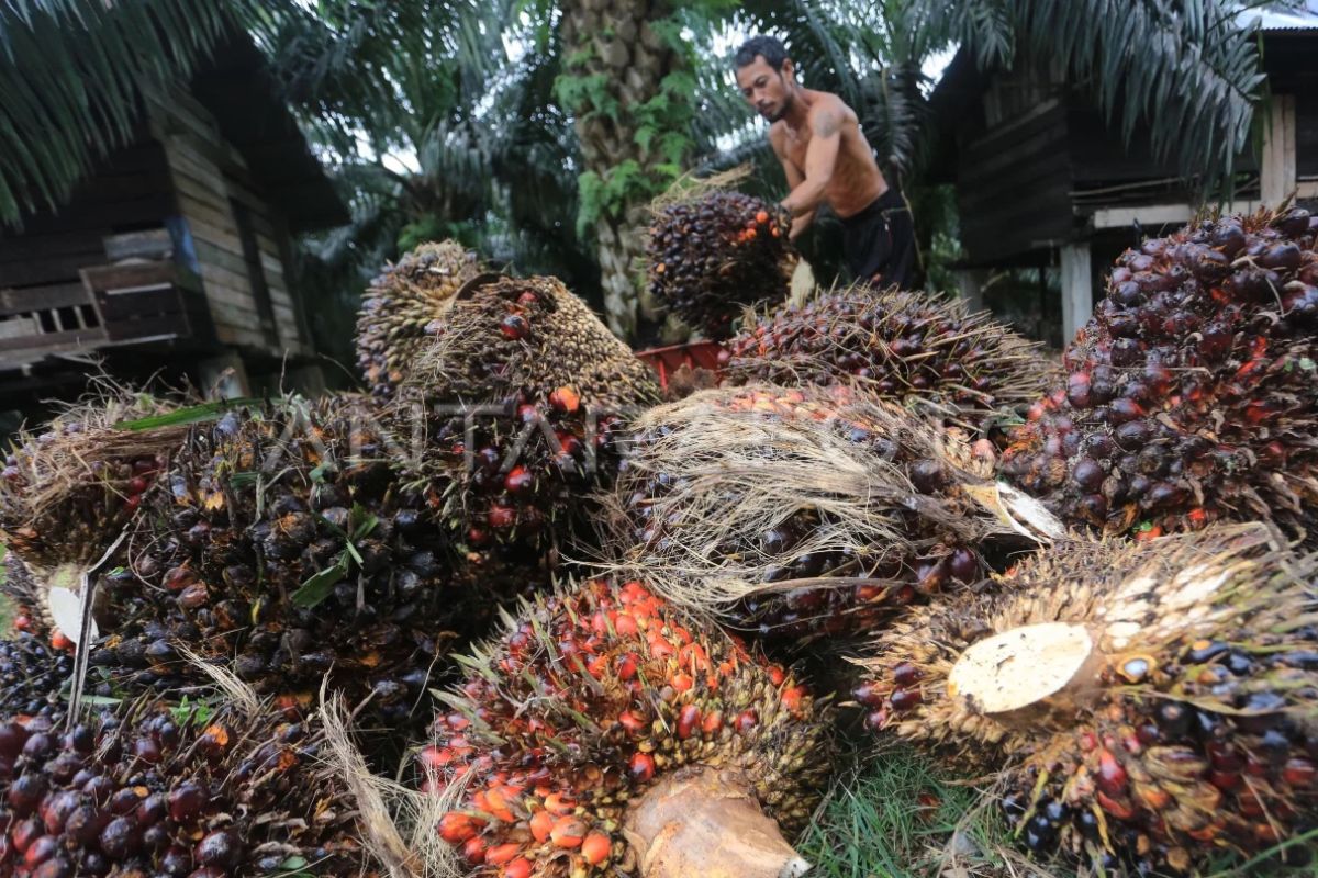 Indonesia perlu selaraskan standar produk agar masuk ke pasar global