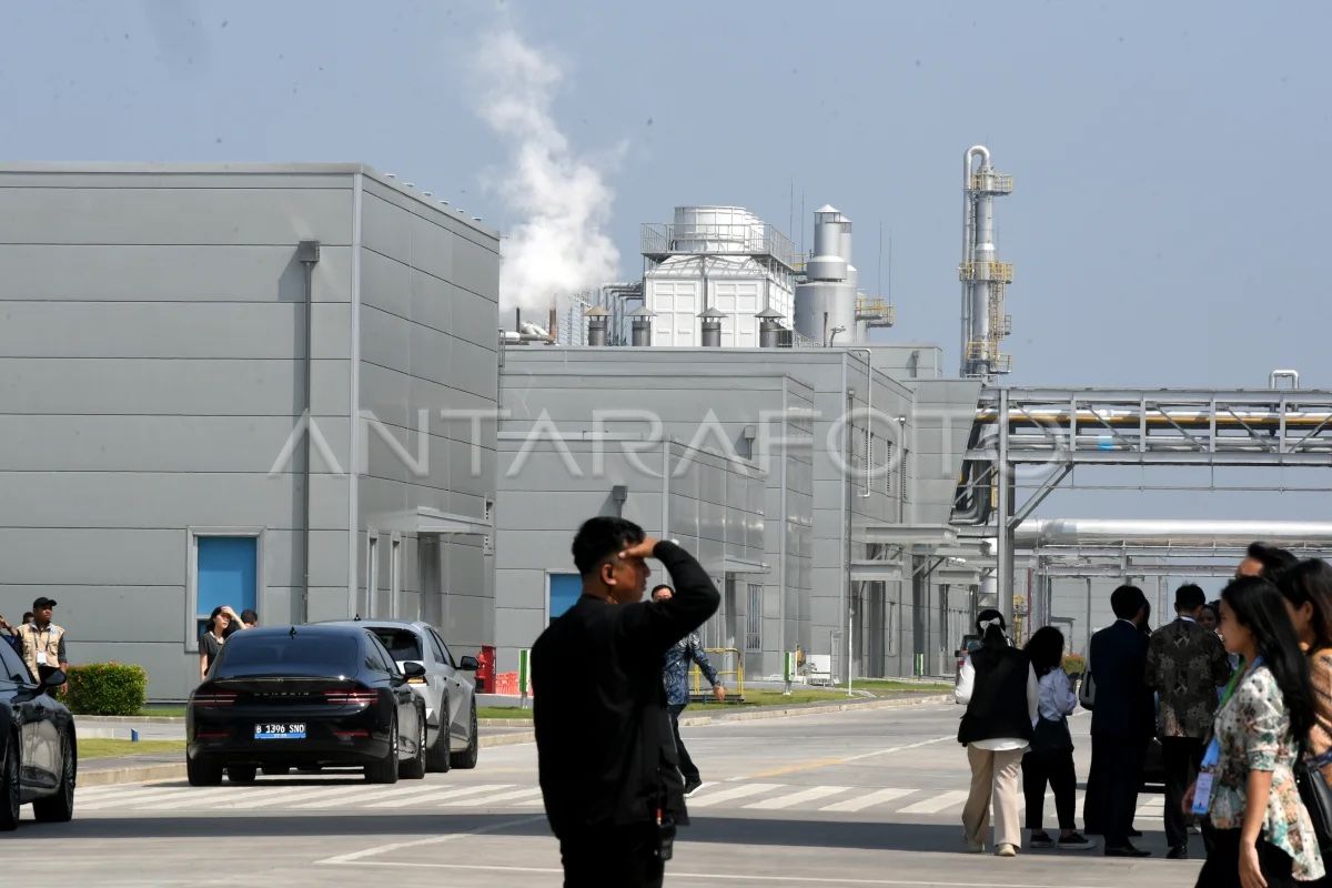 CSIS ungkap tantangan kebijakan industri hijau di Indonesia