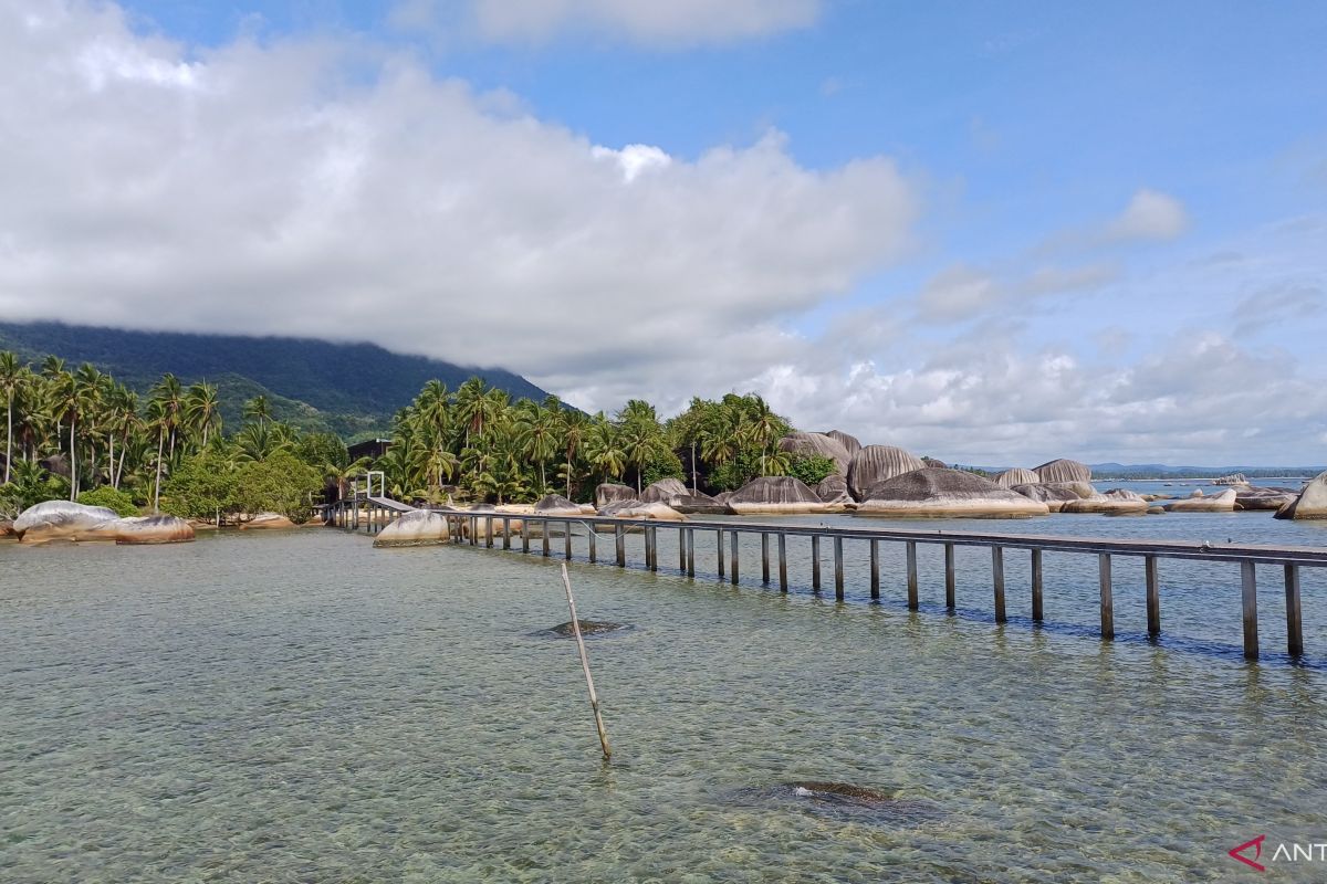 Sekda: Konservasi laut di Kepri perlu dukungan pendanaan berkelanjutan
