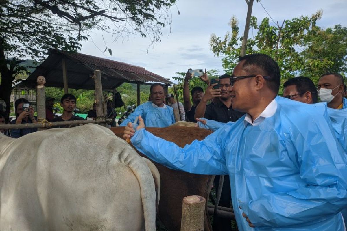Pemkab Sigi rutin lakukan pemeriksaan kesehatan hewan ternak