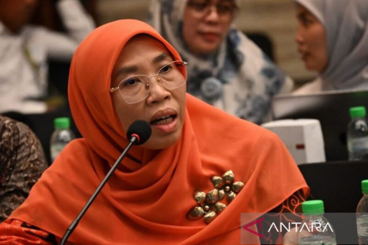 DPR meminta pemerintah beri edukasi kesehatan reproduksi cegah sifilis