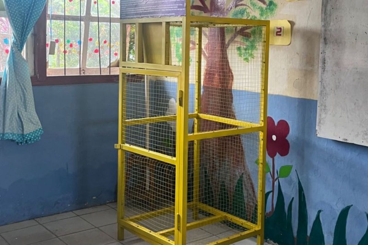 Peringati hari lingkungan hidup sedunia, MCC-PLN terapkan aksi hijau di sekolah dan kampus