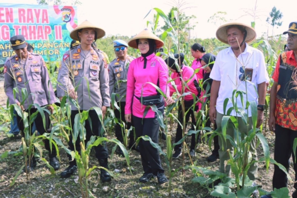 Polres Biak panen jagung mendukung ketahanan pangan