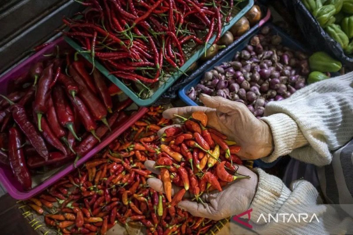Bapanas catat harga bawang merah Rp42.013/kg, cabai rawit Rp54.187/kg