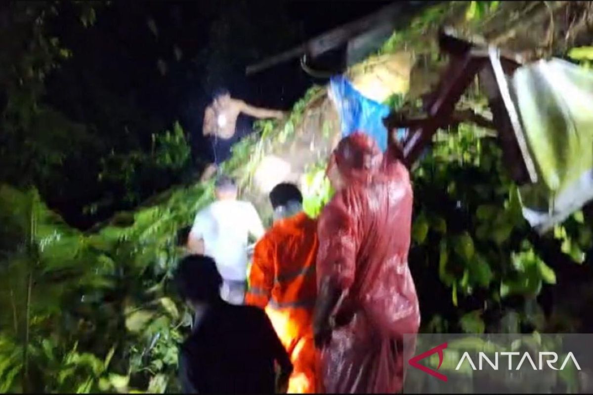 Polresta Ambon kerahkan personel bantu evakuasi korban pohon  tumbang