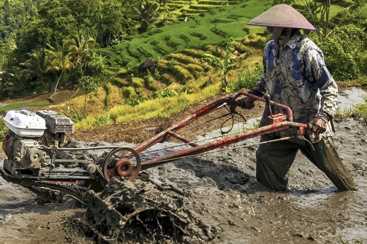 Indonesia pushes collaboration to boost local agri-machinery sector