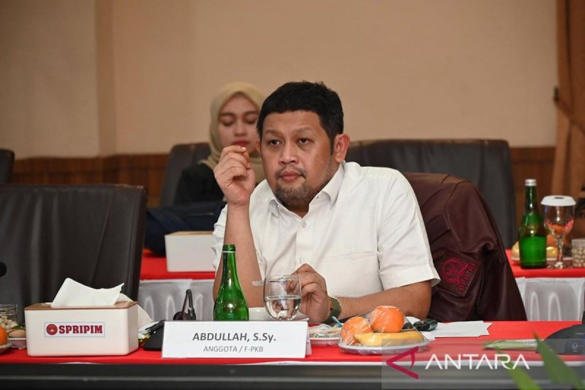 Anggota DPR minta polisi sigap cegah KDRT usai viral anak aniaya ibu