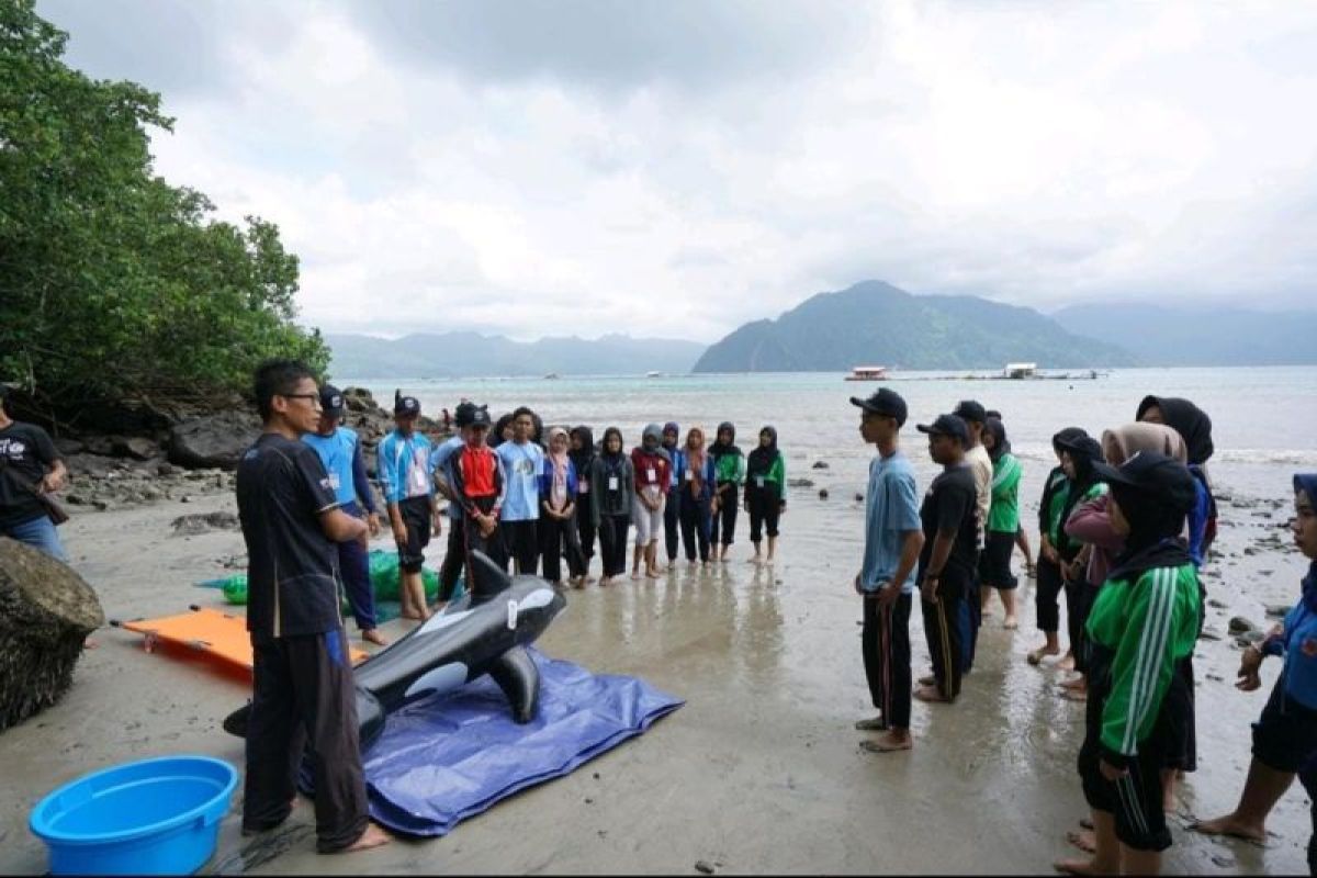 Sebanyak 30 pelajar ikuti sekolah pesisir TUNAS BIRU di pesisir Trenggalek