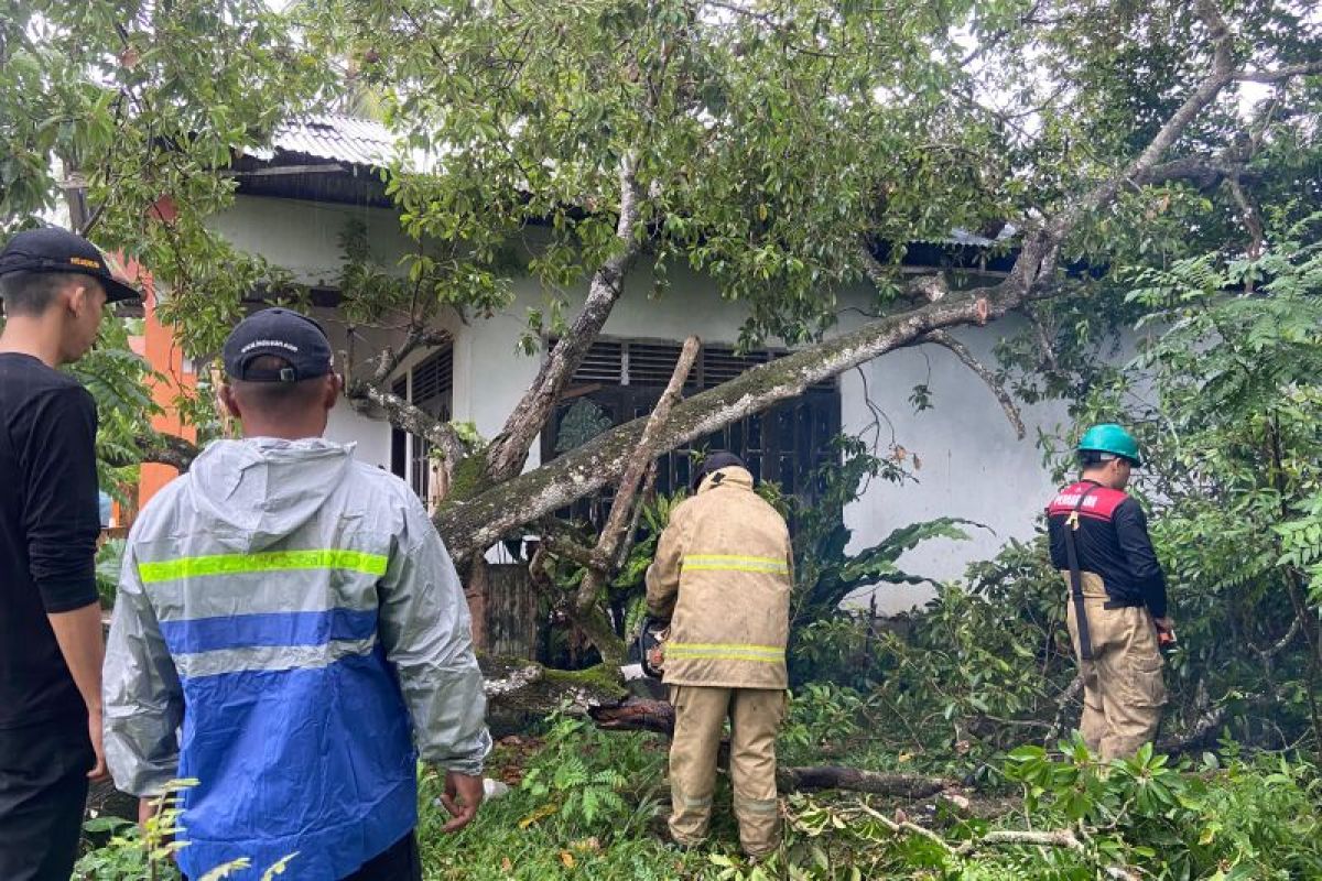 Rumah dan sekolah rusak akibat angin kencang di Aceh Besar
