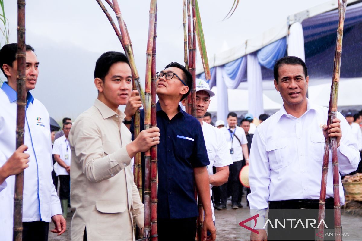 E Java: VP meets sugarcane farmers, promises action on road project
