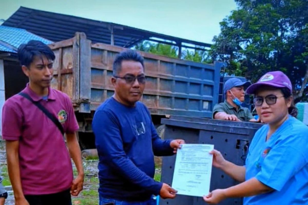 Seekor beruang madu  betina diserahkan warga Selesai Langkat kepada BKSDA